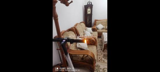 بشار