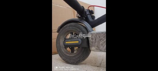 بشار - 5