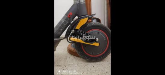 بشار - 8