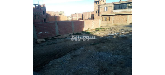 ممرات محمد بوضياف طريق تازولت باتنة - 2