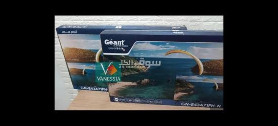 Télévision  43P Simple Marque Géant - 4