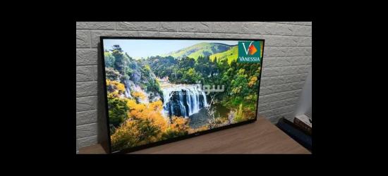 Télévision  43P Simple Marque Géant - 6