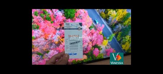 Télévision  43P Simple Marque Géant - 8