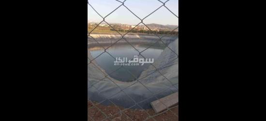 أرض فلاحية - 2