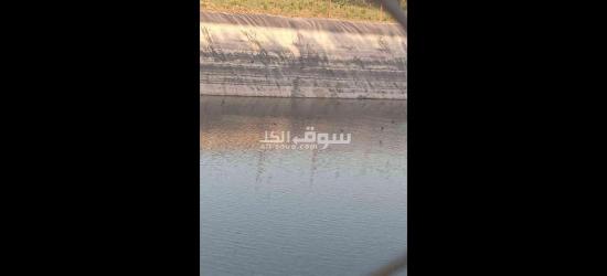 أرض فلاحية - 5